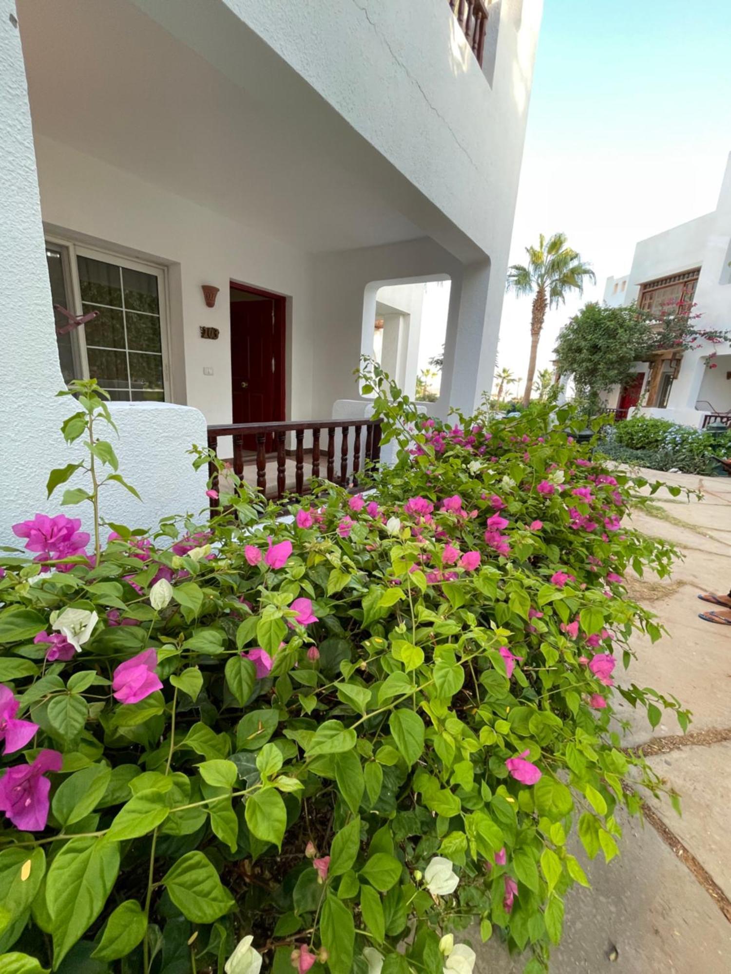 Delta Sharm Apartments With Free Internet Wi-Fi 외부 사진
